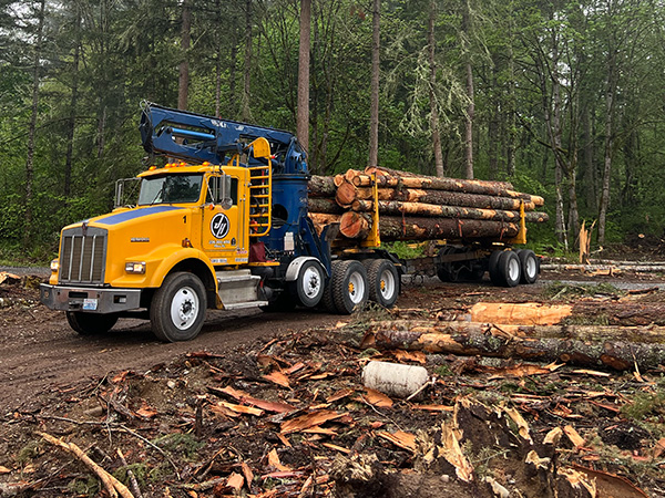 self-loader truck carrying logs