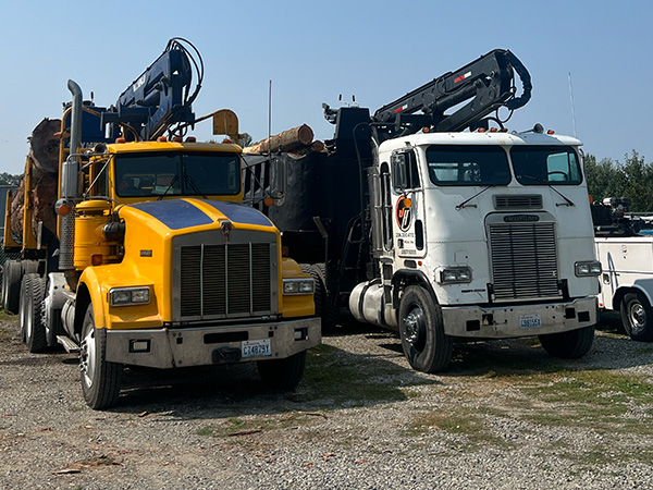 two trucks, one self loader timber truck and one self loading dump truck